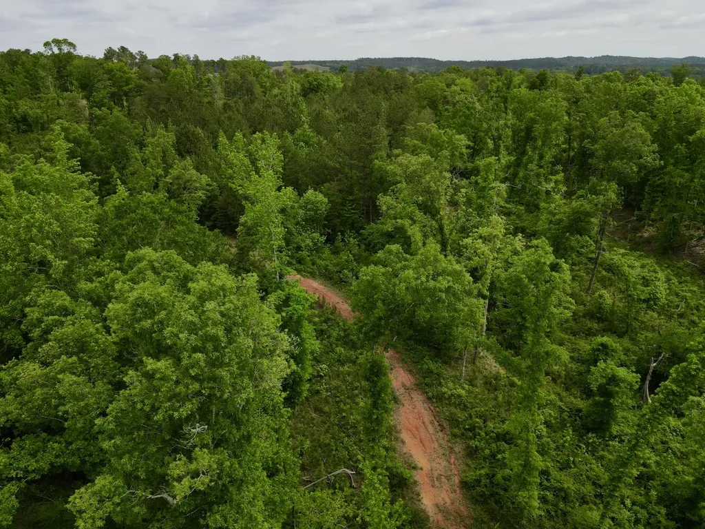 001 County Road 195 Clanton AL 35046