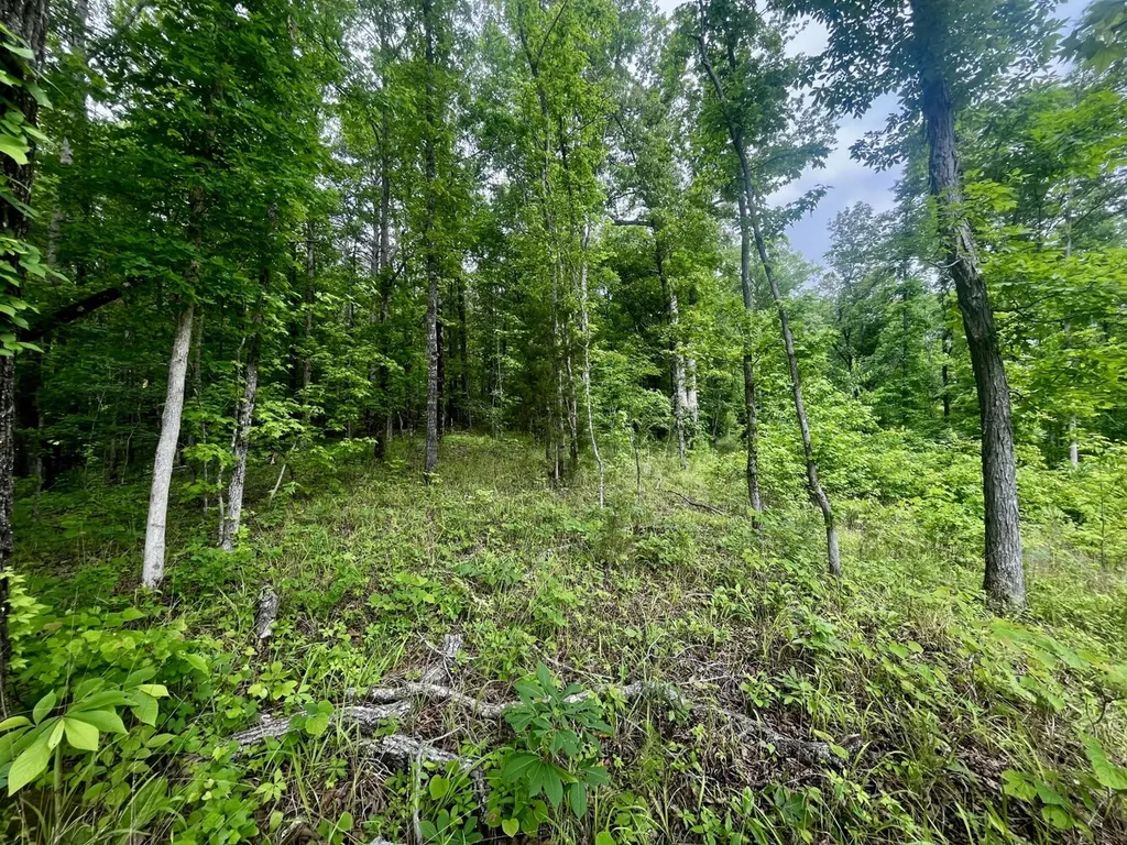 001 County Road 195 Clanton AL 35046
