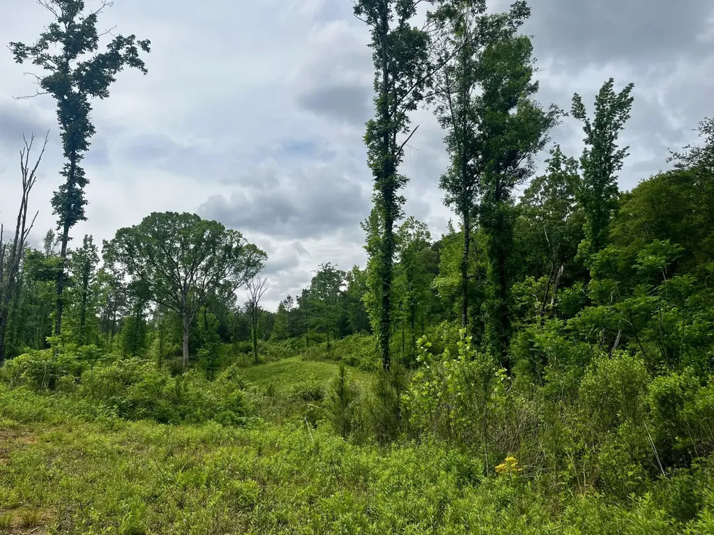 001 County Road 195 Clanton AL 35046