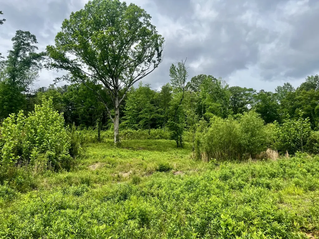 001 County Road 195 Clanton AL 35046