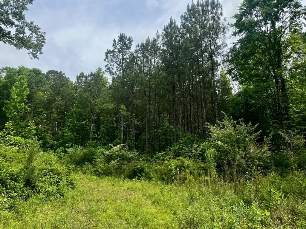 001 County Road 195 Clanton AL 35046