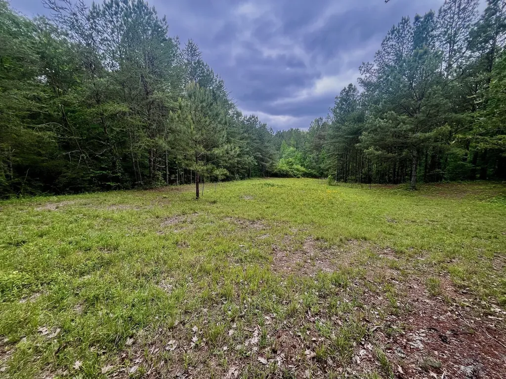 001 County Road 195 Clanton AL 35046