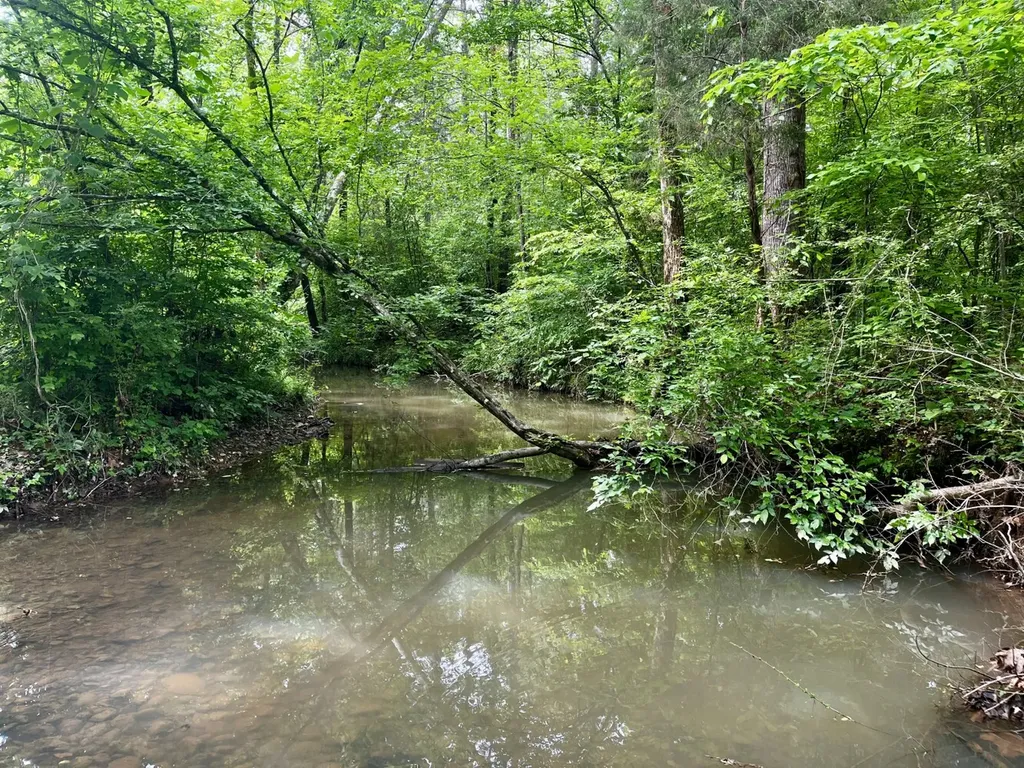 001 County Road 195 Clanton AL 35046