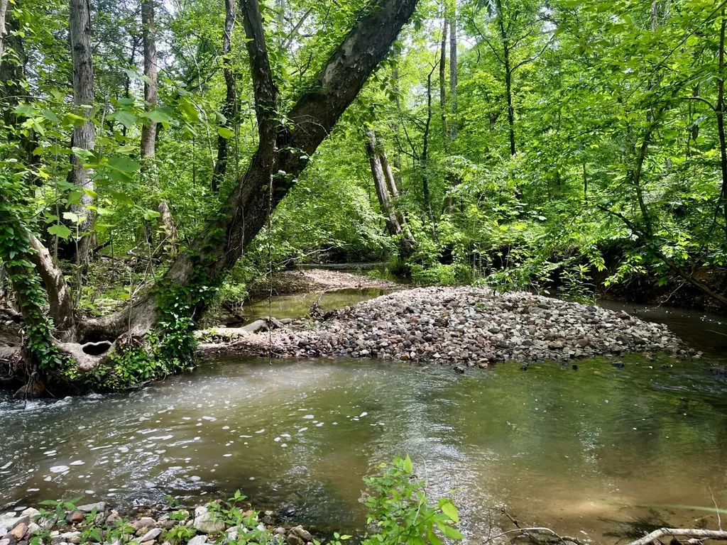 001 County Road 195 Clanton AL 35046