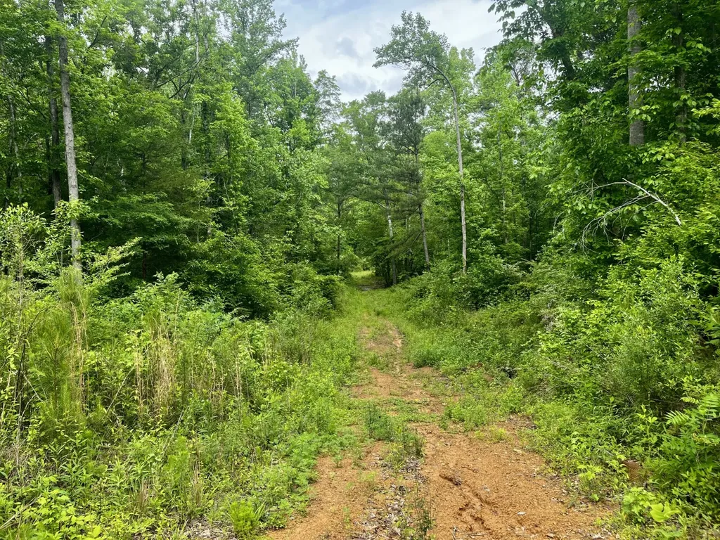 001 County Road 195 Clanton AL 35046