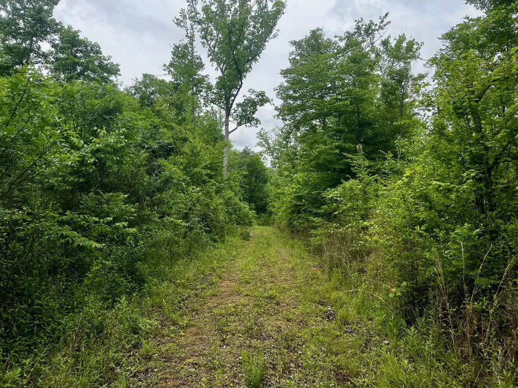 001 County Road 195 Clanton AL 35046
