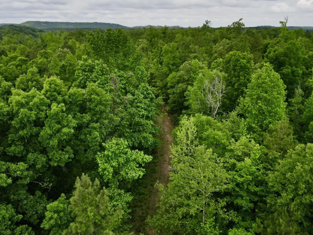 001 County Road 195 Clanton AL 35046