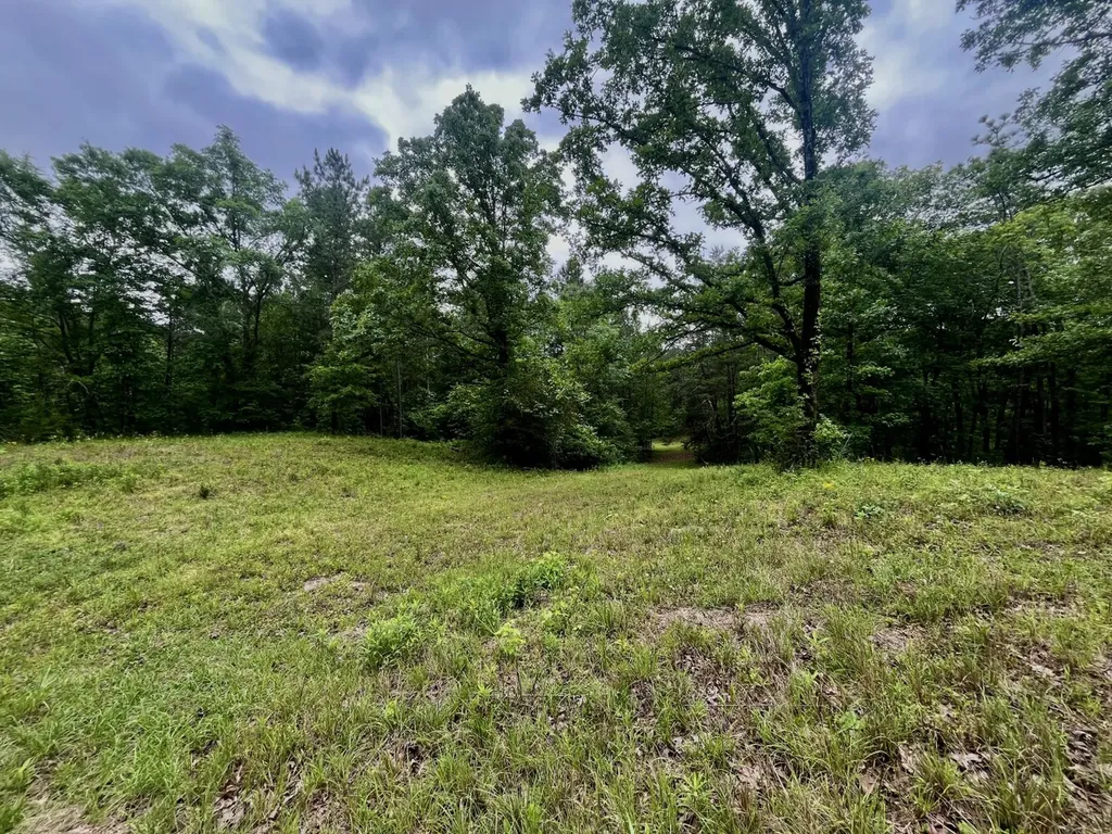 001 County Road 195 Clanton AL 35046