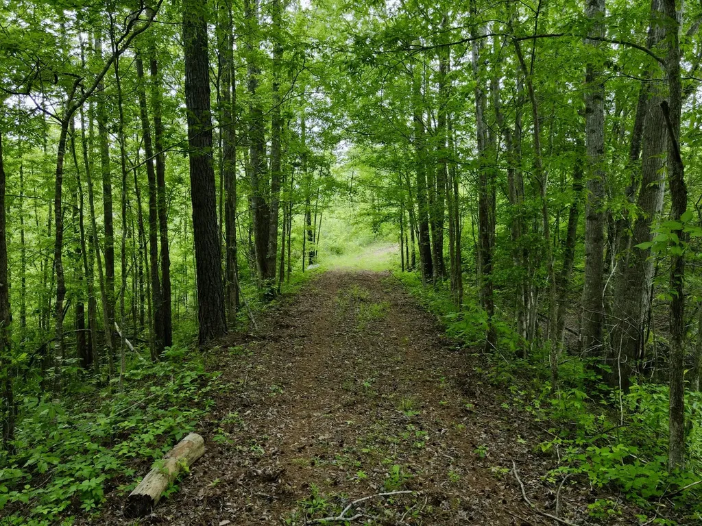 001 County Road 195 Clanton AL 35046