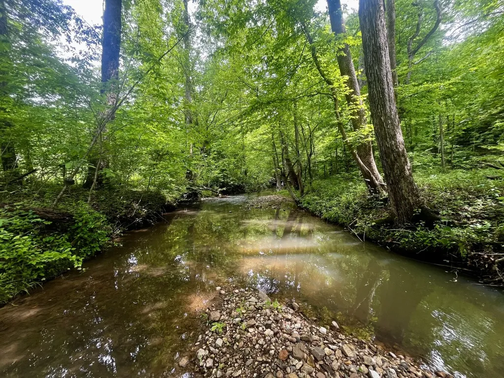 001 County Road 195 Clanton AL 35046