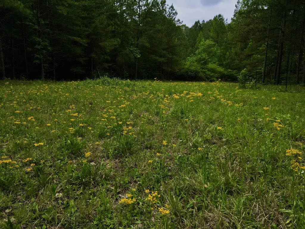 001 County Road 195 Clanton AL 35046