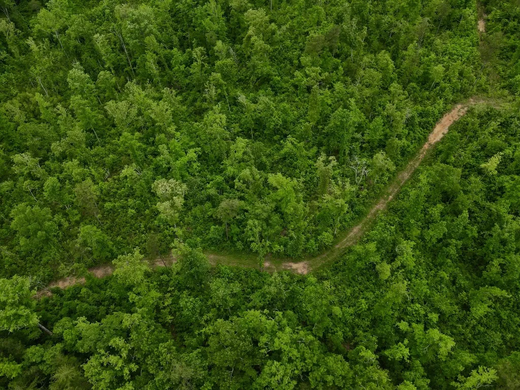 001 County Road 195 Clanton AL 35046