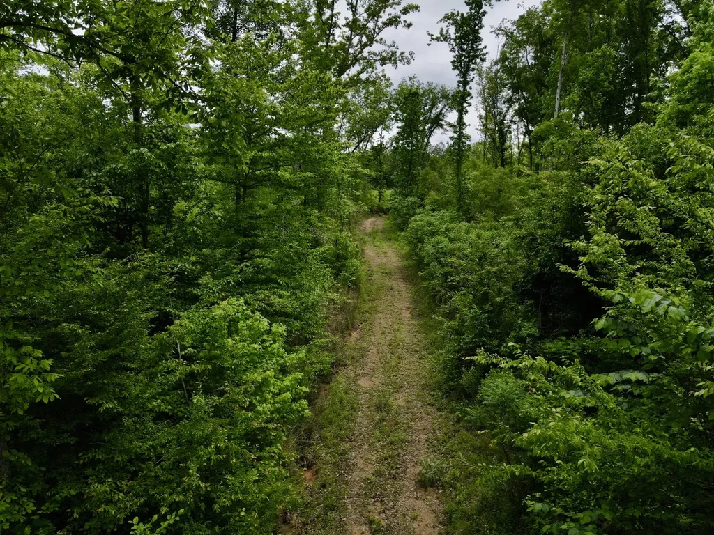 001 County Road 195 Clanton AL 35046