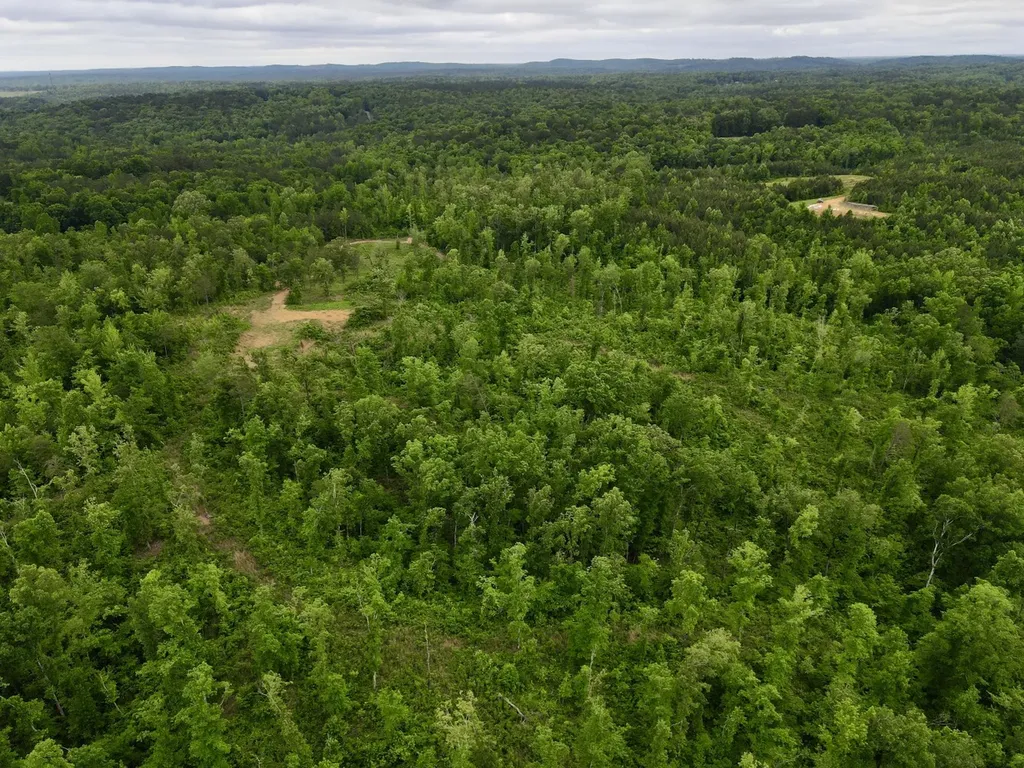 001 County Road 195 Clanton AL 35046