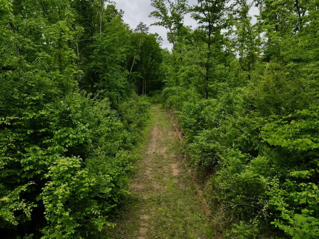 001 County Road 195 Clanton AL 35046