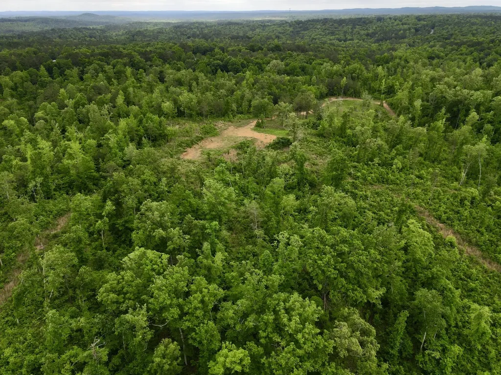 001 County Road 195 Clanton AL 35046
