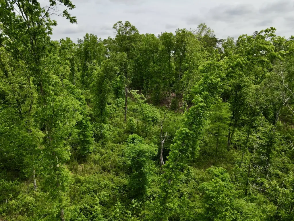 001 County Road 195 Clanton AL 35046
