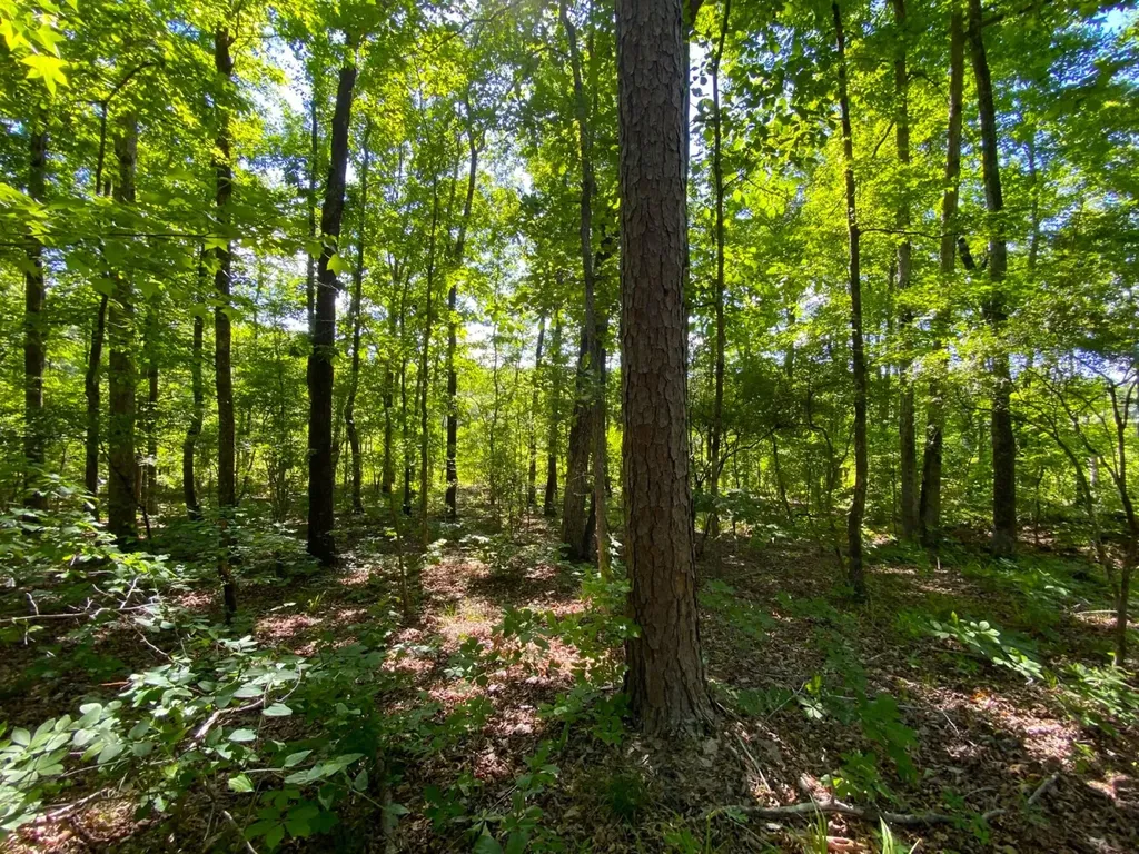 0 Pate Road Buhl AL 35446