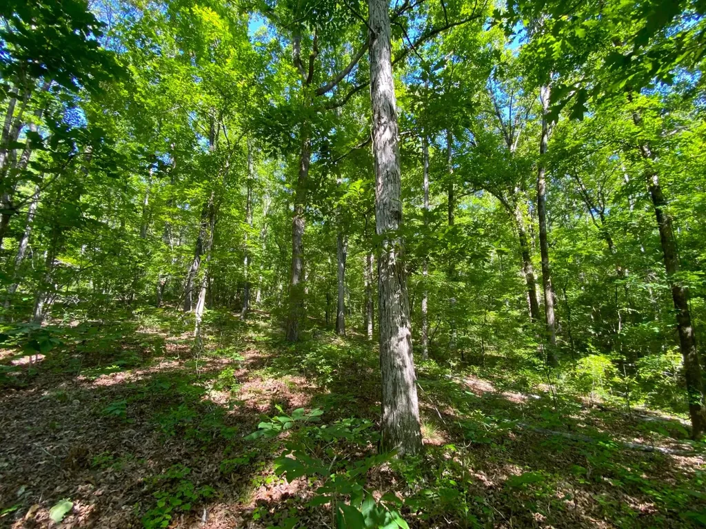 0 Pate Road Buhl AL 35446