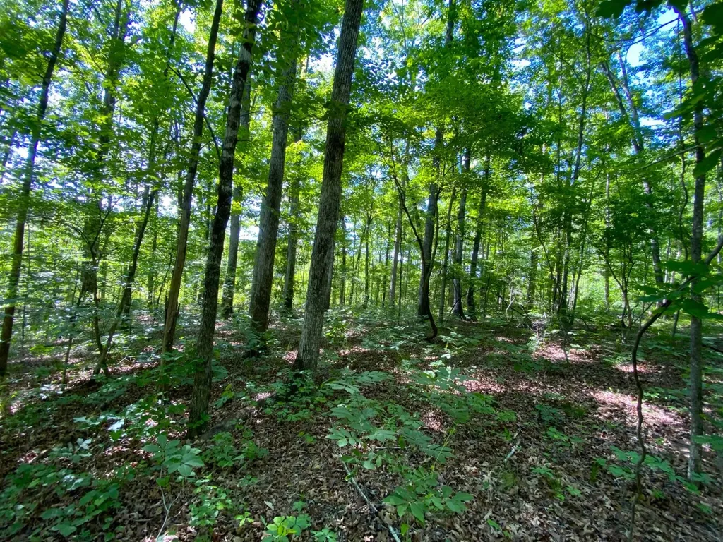 0 Pate Road Buhl AL 35446