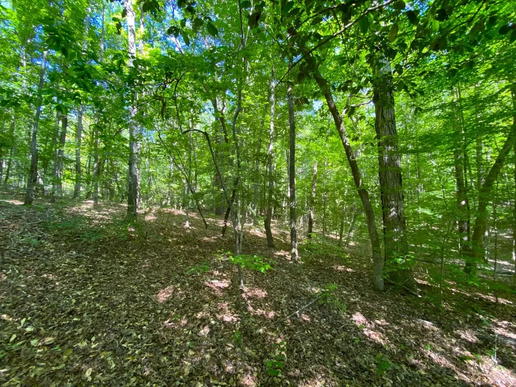 0 Pate Road Buhl AL 35446