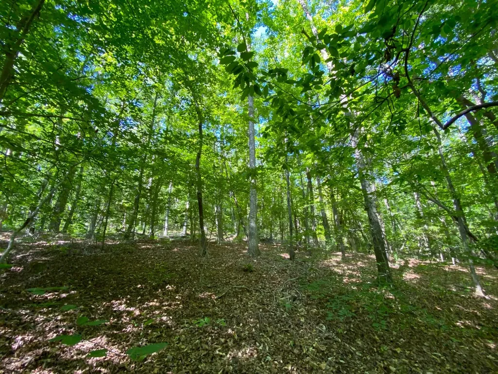 0 Pate Road Buhl AL 35446