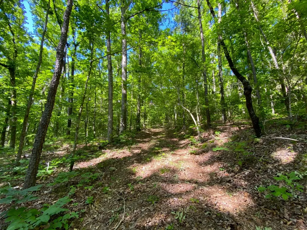 0 Pate Road Buhl AL 35446