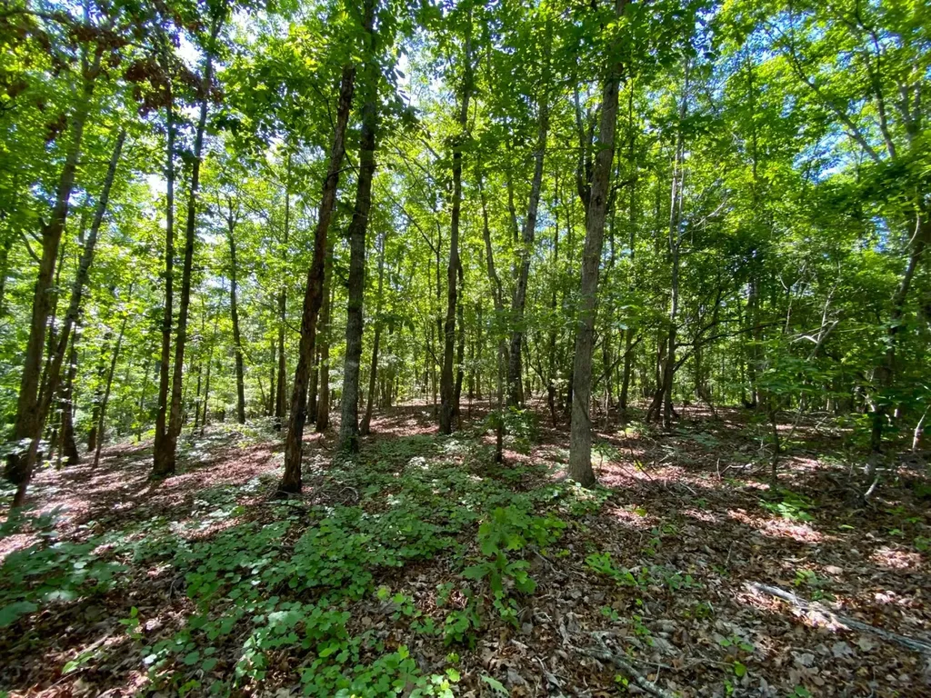 0 Pate Road Buhl AL 35446