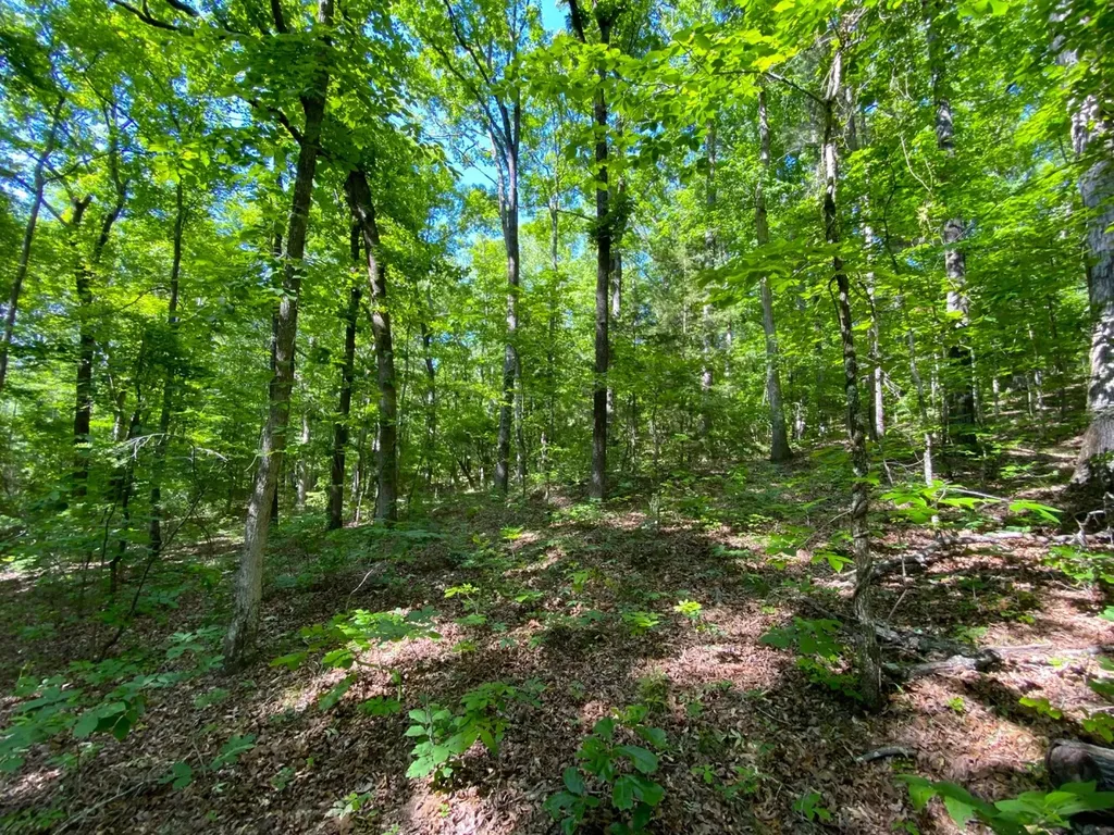 0 Pate Road Buhl AL 35446