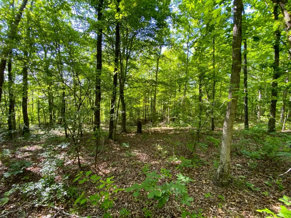 0 Pate Road Buhl AL 35446