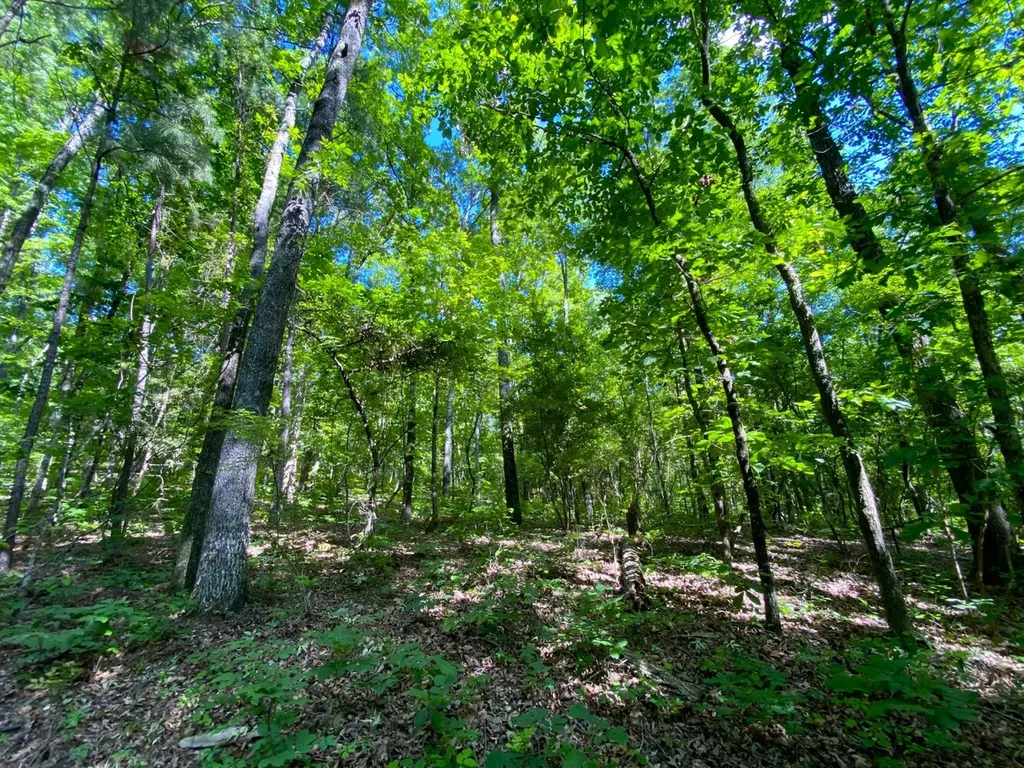 0 Pate Road Buhl AL 35446