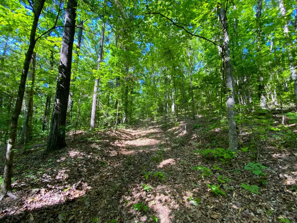 0 Pate Road Buhl AL 35446
