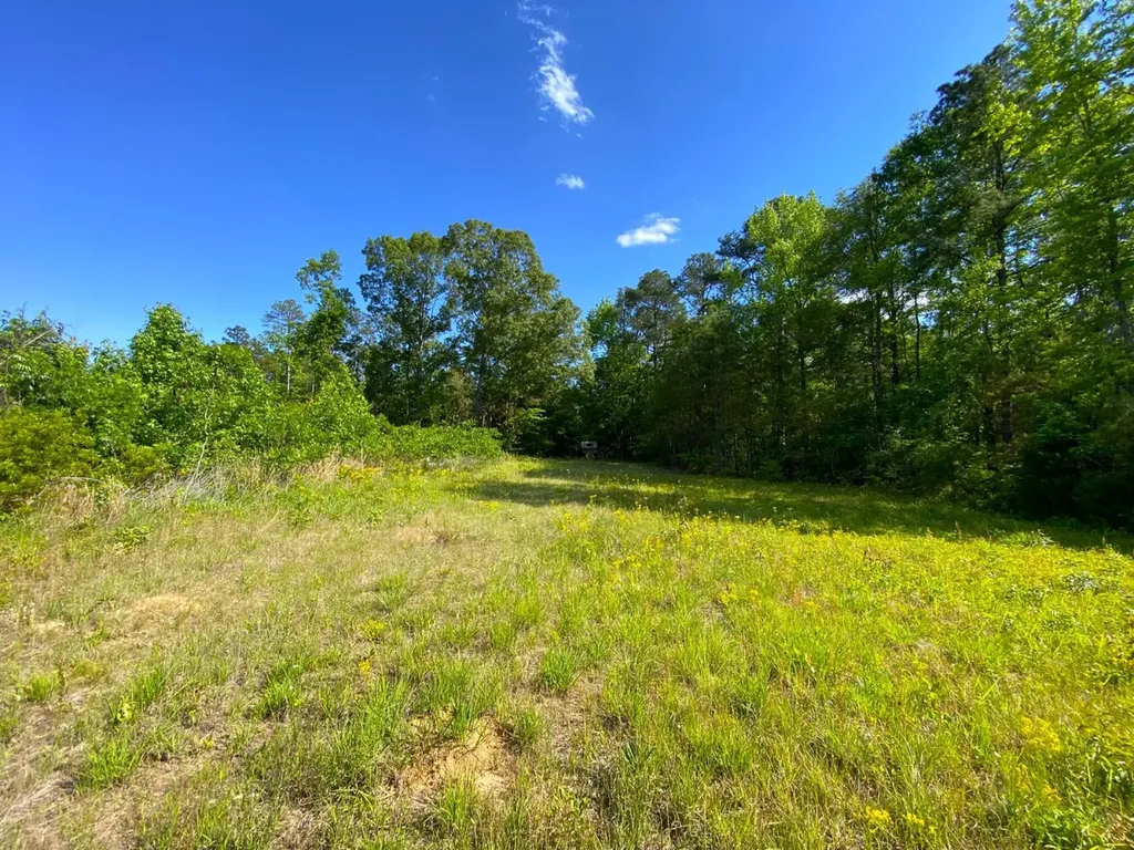 0 Pate Road Buhl AL 35446