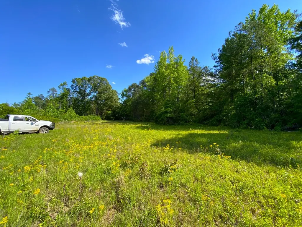 0 Pate Road Buhl AL 35446