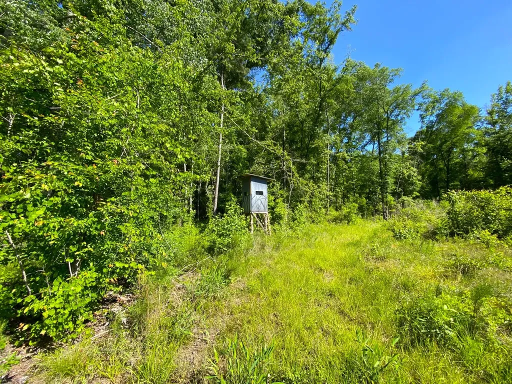 0 Pate Road Buhl AL 35446