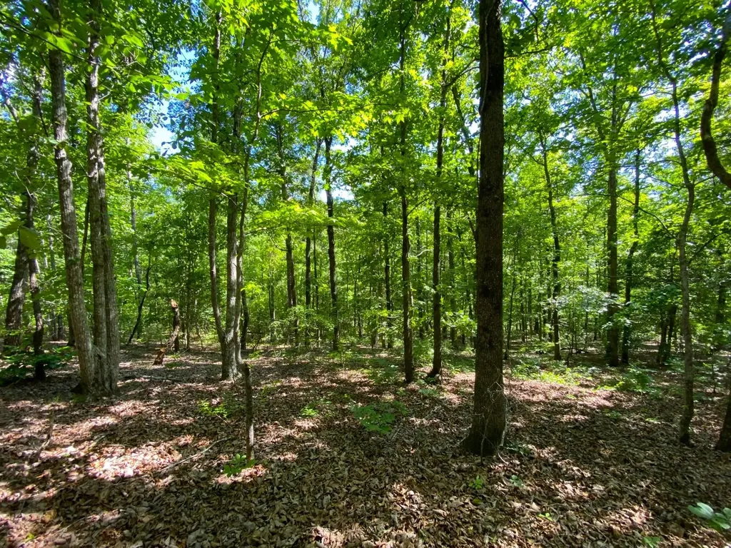0 Pate Road Buhl AL 35446
