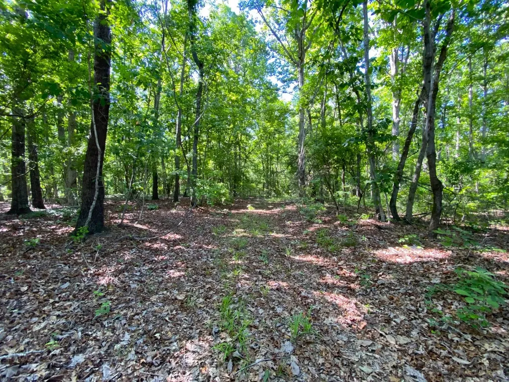 0 Pate Road Buhl AL 35446
