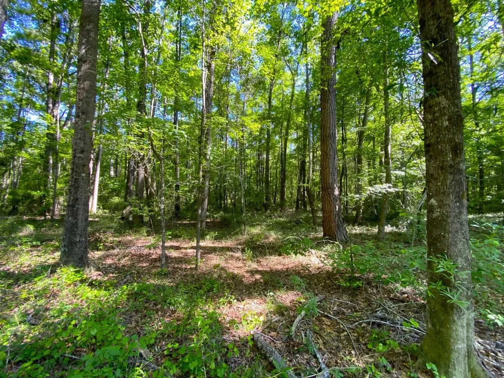 0 Pate Road Buhl AL 35446