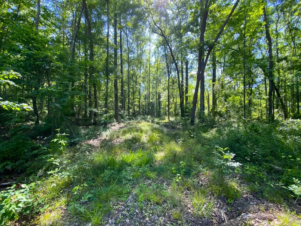 0 Pate Road Buhl AL 35446
