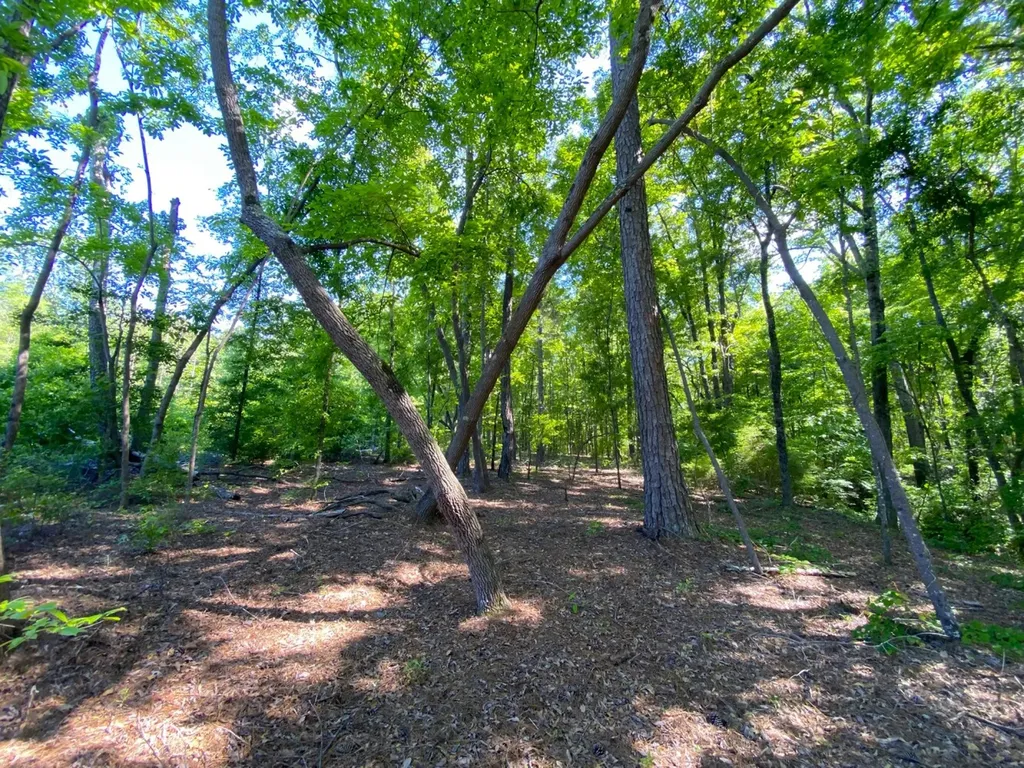 0 Pate Road Buhl AL 35446