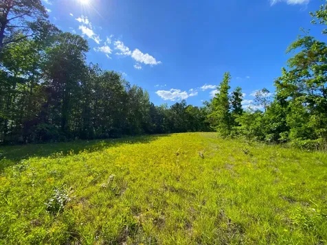 0 Pate Road Buhl AL 35446