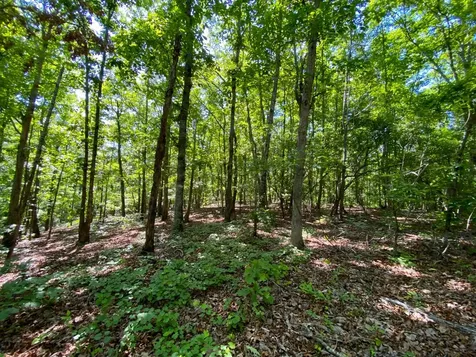 0 Pate Road Buhl AL 35446