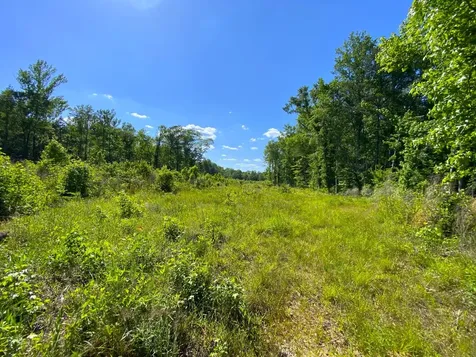 0 Pate Road Buhl AL 35446