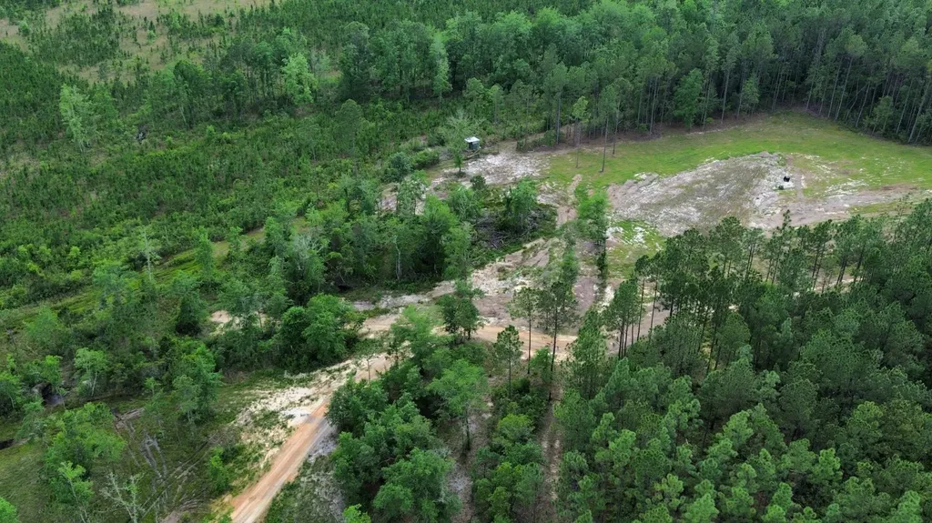 290 Bama Williams Road Chatom AL 36518