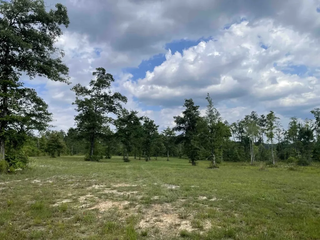 290 Bama Williams Road Chatom AL 36518