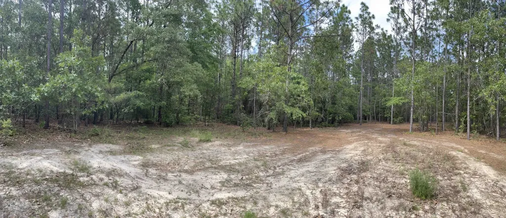 290 Bama Williams Road Chatom AL 36518