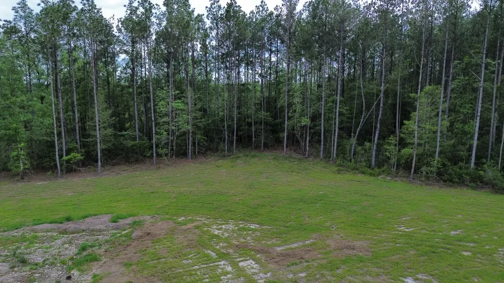 290 Bama Williams Road Chatom AL 36518