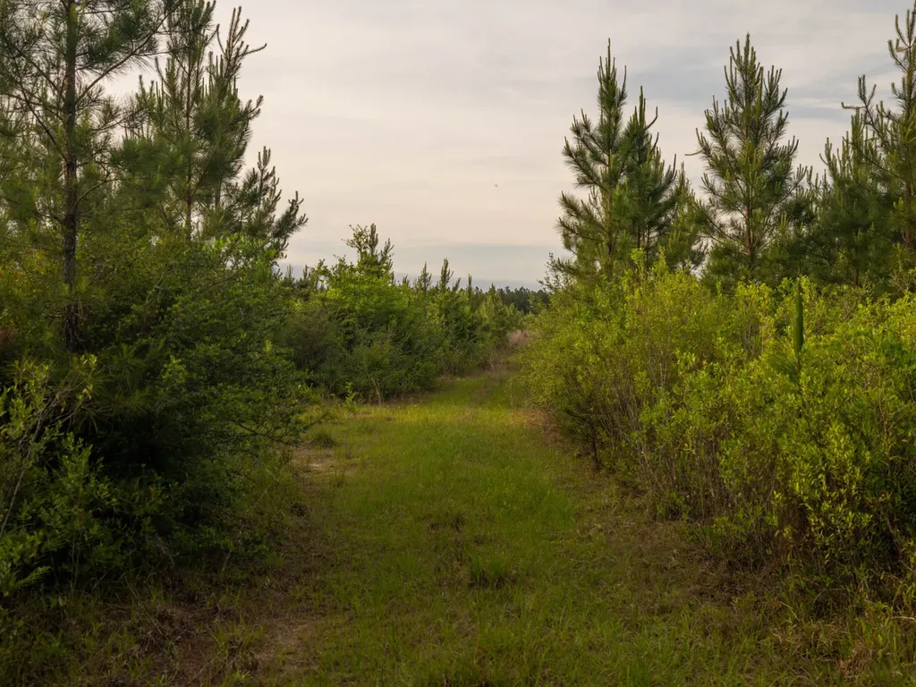 0 Flowers Road Bay Minette AL 36507