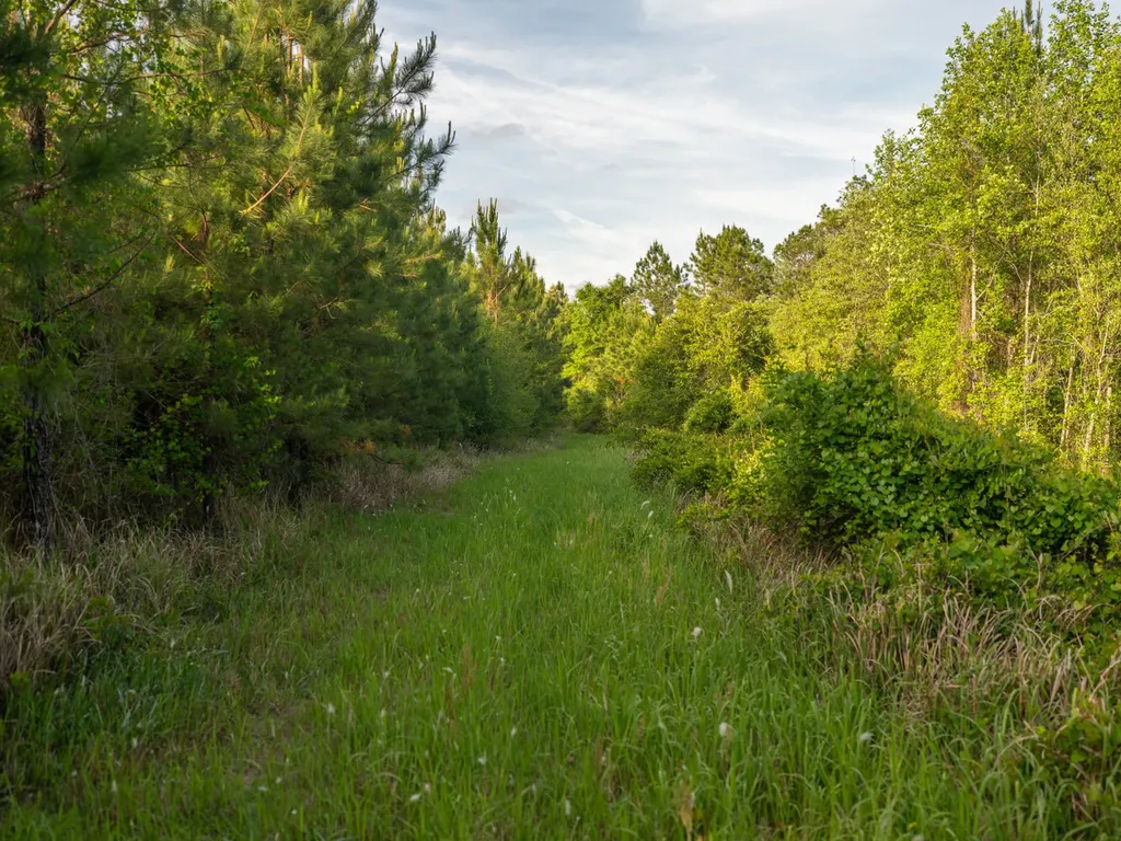 0 Flowers Road Bay Minette AL 36507
