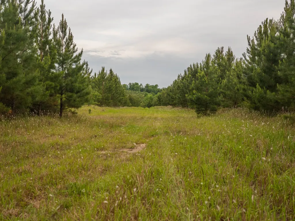 0 Flowers Road Bay Minette AL 36507